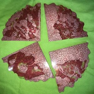 “Wine Peacock” Coaster Set😱